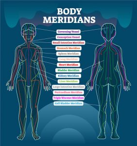 body meridians chart